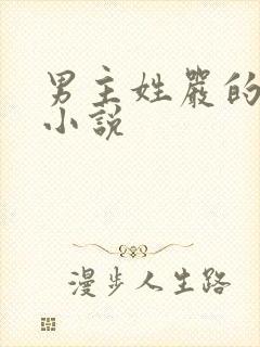 男主姓严的总裁小说