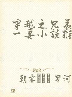 穿越之兄弟共娶一妻小说推荐封面