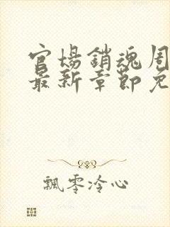 官场销魂周艳芸最新章节免费阅读