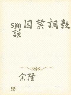 sm囚禁调教小说