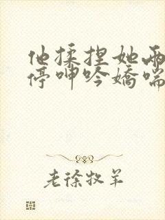 他揉捏她两乳不停呻吟娇喘小说