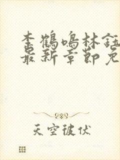 李鹤鸣林钰小说最新章节免费阅读