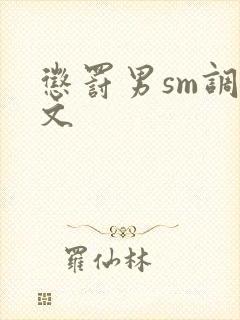 惩罚男sm调教文