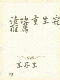 渣攻重生宠受文推荐