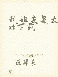 我姐夫是太子txt下载封面