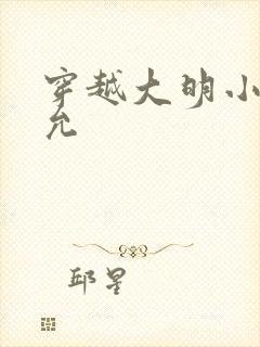 穿越大明小说朱允