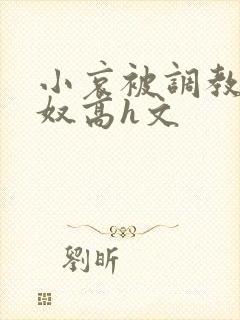 小哀被调教成肉奴高h文封面