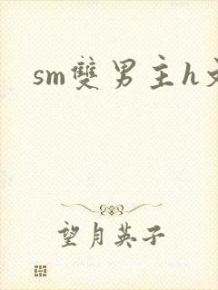 sm双男主h文