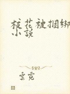 校花被捆绑调教小说封面