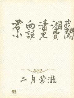 君向潇湘我向秦小说免费阅读