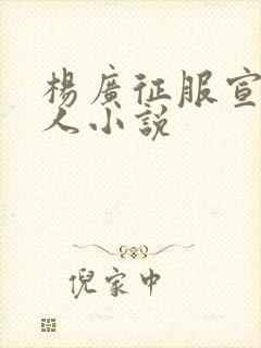 杨广征服宣华夫人小说