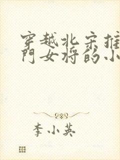 穿越北宋推倒杨门女将的小说