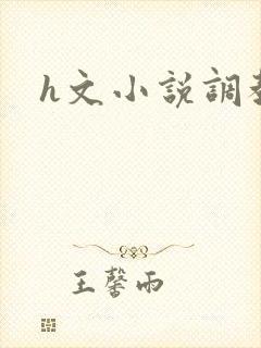 h文小说调教
