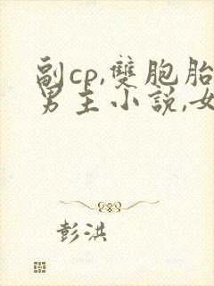 副cp,双胞胎男主小说,女主混血封面