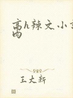 高h辣文小说纯肉