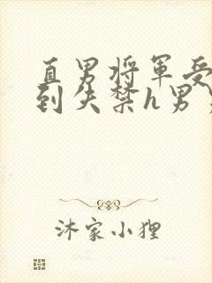 直男将军受被肉到失禁h男男视频