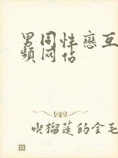 男同性恋互艹视频网站封面