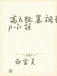 高h粗暴调教np小说