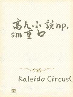 高h小说np,sm重口