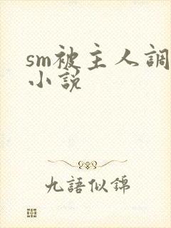 sm被主人调教小说封面