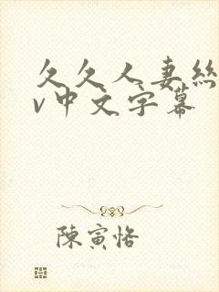 久久人妻丝袜av中文字幕