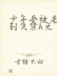 少年受被老头肉到失禁h文