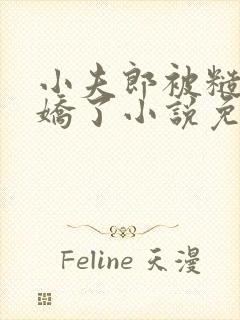 小夫郎被糙汉宠娇了小说免费阅读封面