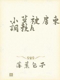 小莫被房东老头调教h封面