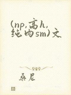 (np,高h,纯肉sm)文