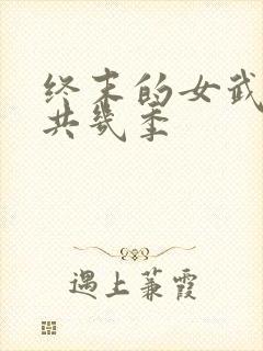 终末的女武神一共几季