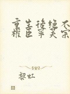 重生后绝不嫁给权臣宁芙宗肆