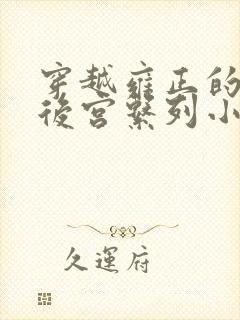 穿越雍正的极品后宫系列小说