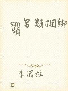 sm另类捆绑视频