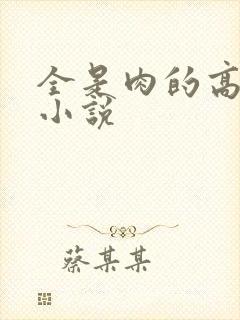 全是肉的高h文小说