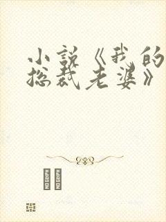 小说《我的冰山总裁老婆》