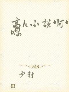 高h小说啊啊啊嗯封面