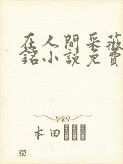 在人间采薇陆勇铭小说免费阅读封面