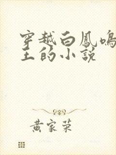 穿越白凤鸣摄政王的小说