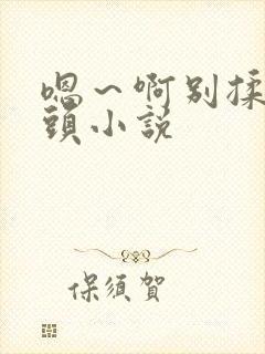 嗯～啊别揉我奶头小说