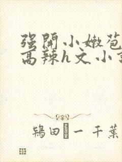 强开小嫩苞h文高辣h文小说