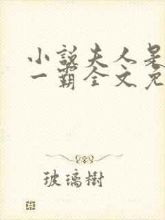 小说夫人是京城一霸全文免费阅读封面