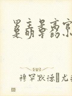 男主是高官女主是明星的小说