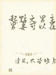 起点文男主沦为男妻可以在哪看小说封面