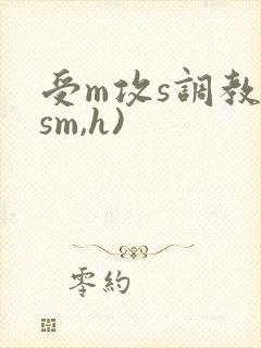 受m攻s调教(sm,h)