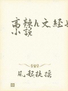 高辣h文经典乱小说