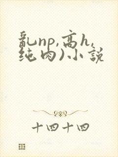 乱np,高h,纯肉)小说