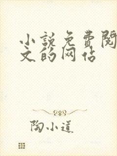 小说免费阅读全文的网站