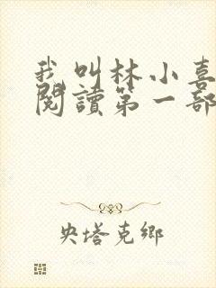 我叫林小喜全文阅读第一部