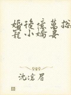 婚后亿万总裁独宠小娇妻