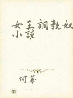 女王调教奴隶的小说